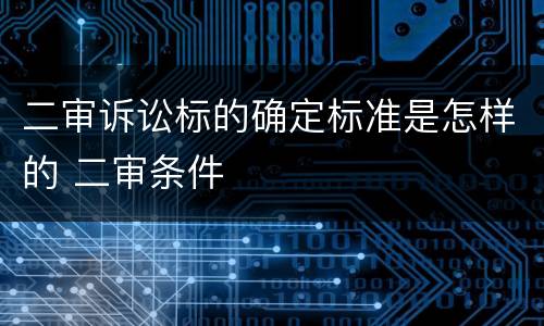 二审诉讼标的确定标准是怎样的 二审条件
