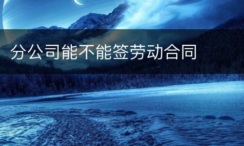 分公司能不能签劳动合同