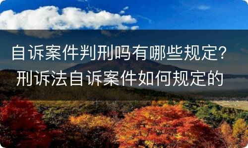自诉案件判刑吗有哪些规定？ 刑诉法自诉案件如何规定的