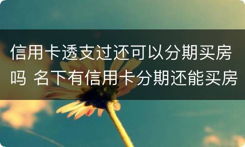 信用卡透支过还可以分期买房吗 名下有信用卡分期还能买房吗