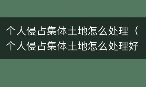 个人侵占集体土地怎么处理（个人侵占集体土地怎么处理好）