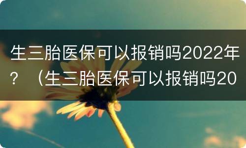 生三胎医保可以报销吗2022年？（生三胎医保可以报销吗2022年度）