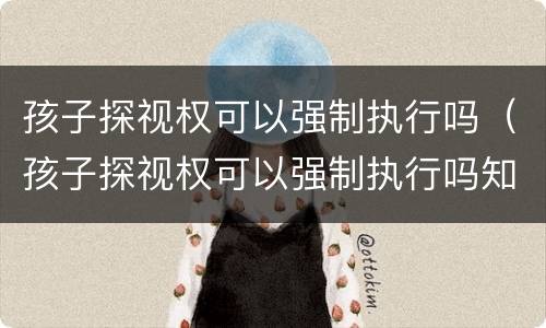 孩子探视权可以强制执行吗（孩子探视权可以强制执行吗知乎）