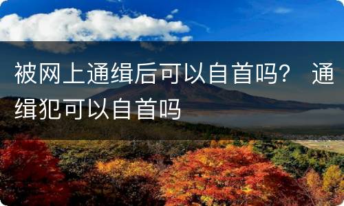 被网上通缉后可以自首吗？ 通缉犯可以自首吗