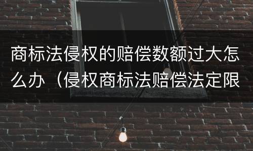 商标法侵权的赔偿数额过大怎么办（侵权商标法赔偿法定限额）