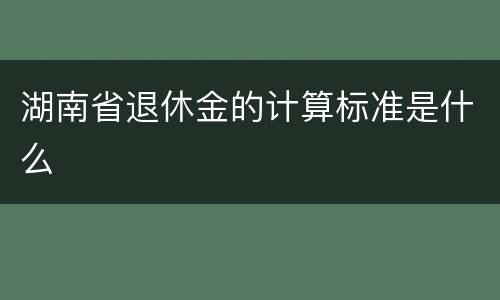 湖南省退休金的计算标准是什么