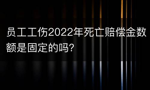 员工工伤2022年死亡赔偿金数额是固定的吗？