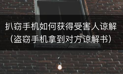 扒窃手机如何获得受害人谅解（盗窃手机拿到对方谅解书）