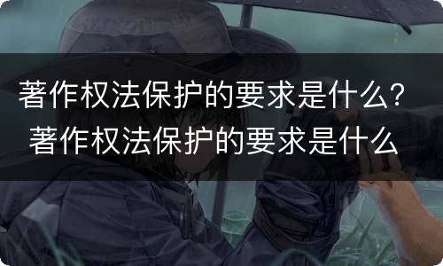 著作权法保护的要求是什么？ 著作权法保护的要求是什么
