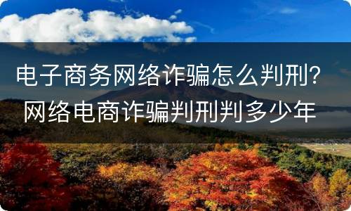 电子商务网络诈骗怎么判刑？ 网络电商诈骗判刑判多少年