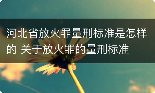 河北省放火罪量刑标准是怎样的 关于放火罪的量刑标准