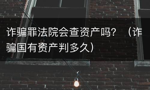 诈骗罪法院会查资产吗？（诈骗国有资产判多久）