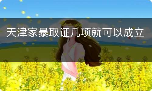 天津家暴取证几项就可以成立