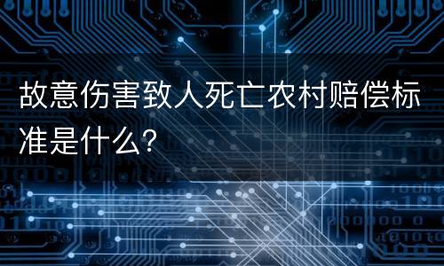 故意伤害致人死亡农村赔偿标准是什么？