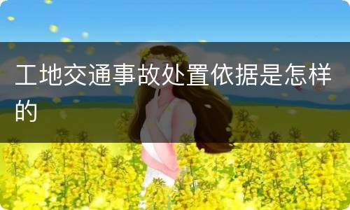 工地交通事故处置依据是怎样的