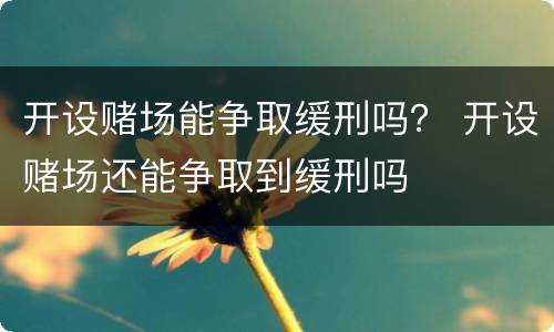 开设赌场能争取缓刑吗？ 开设赌场还能争取到缓刑吗