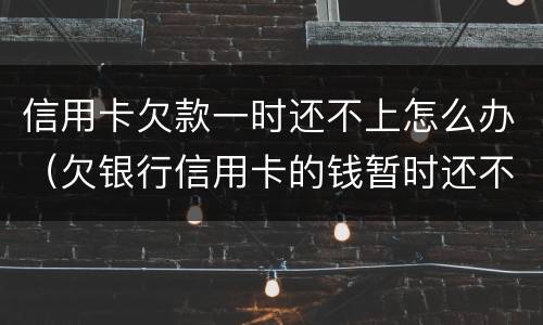 信用卡欠款一时还不上怎么办（欠银行信用卡的钱暂时还不起怎么办）