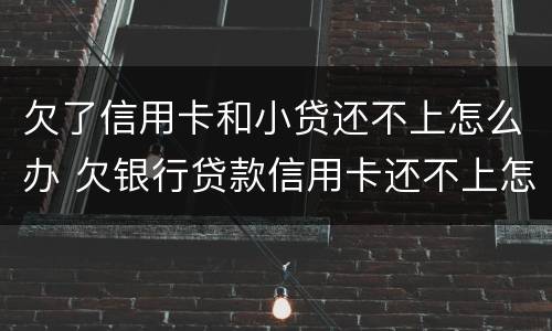 欠了信用卡和小贷还不上怎么办 欠银行贷款信用卡还不上怎么办