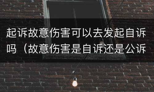 起诉故意伤害可以去发起自诉吗（故意伤害是自诉还是公诉）