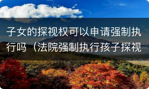 子女的探视权可以申请强制执行吗（法院强制执行孩子探视权有用吗）
