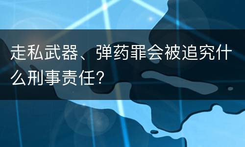 走私武器、弹药罪会被追究什么刑事责任?