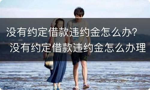 没有约定借款违约金怎么办？ 没有约定借款违约金怎么办理