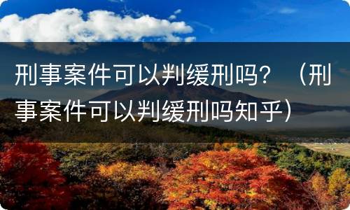 刑事案件可以判缓刑吗？（刑事案件可以判缓刑吗知乎）