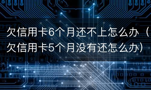 欠信用卡6个月还不上怎么办（欠信用卡5个月没有还怎么办）