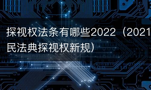 探视权法条有哪些2022（2021民法典探视权新规）