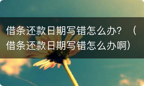 借条还款日期写错怎么办？（借条还款日期写错怎么办啊）