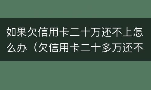 如果欠信用卡二十万还不上怎么办（欠信用卡二十多万还不上怎么办）