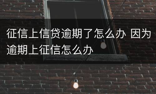 征信上信贷逾期了怎么办 因为逾期上征信怎么办