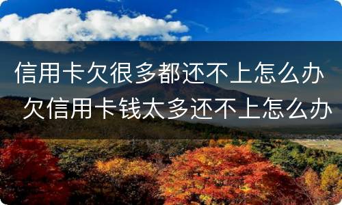 信用卡欠很多都还不上怎么办 欠信用卡钱太多还不上怎么办