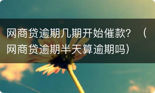 网商贷逾期几期开始催款？（网商贷逾期半天算逾期吗）