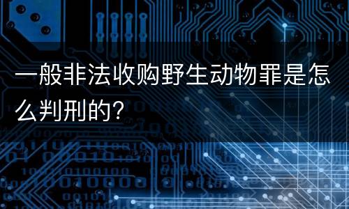一般非法收购野生动物罪是怎么判刑的?
