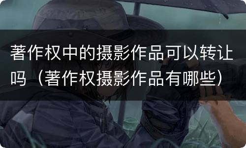 著作权中的摄影作品可以转让吗（著作权摄影作品有哪些）