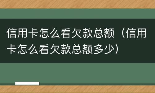 信用卡怎么看欠款总额（信用卡怎么看欠款总额多少）