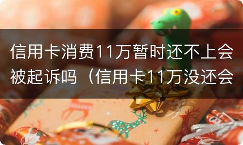 信用卡消费11万暂时还不上会被起诉吗（信用卡11万没还会不会被判刑）