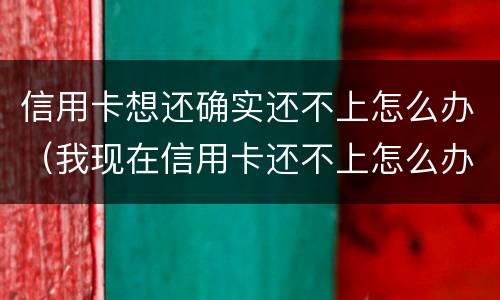 信用卡想还确实还不上怎么办（我现在信用卡还不上怎么办）