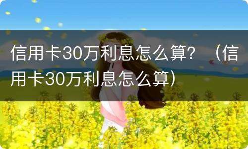 信用卡30万利息怎么算？（信用卡30万利息怎么算）