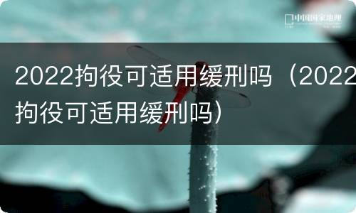 2022拘役可适用缓刑吗（2022拘役可适用缓刑吗）