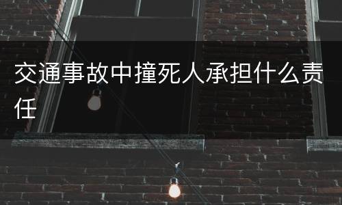 交通事故中撞死人承担什么责任