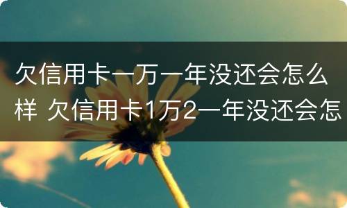 欠信用卡一万一年没还会怎么样 欠信用卡1万2一年没还会怎样