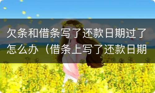 欠条和借条写了还款日期过了怎么办（借条上写了还款日期过了还能起诉吗）