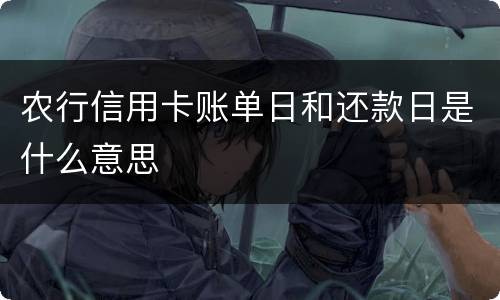 农行信用卡账单日和还款日是什么意思