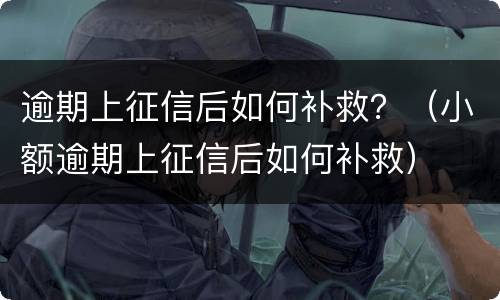 逾期上征信后如何补救？（小额逾期上征信后如何补救）