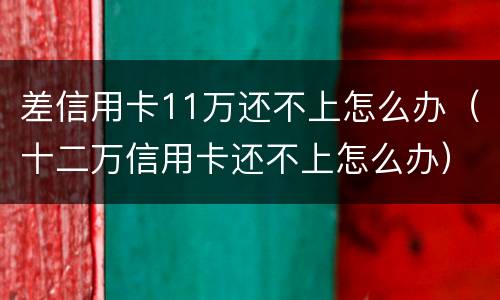差信用卡11万还不上怎么办（十二万信用卡还不上怎么办）