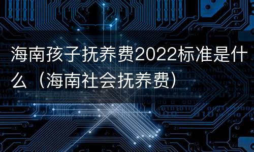 海南孩子抚养费2022标准是什么（海南社会抚养费）