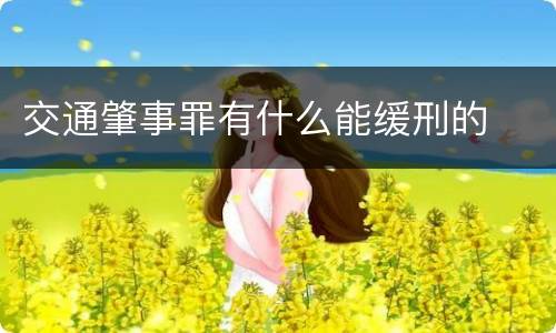 交通肇事罪有什么能缓刑的