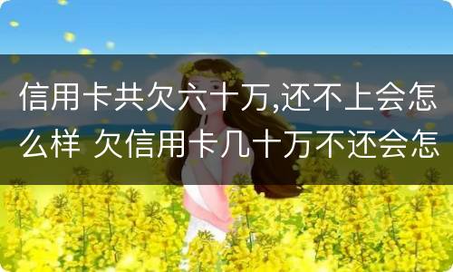 信用卡共欠六十万,还不上会怎么样 欠信用卡几十万不还会怎么样